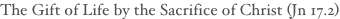 shapeimage_2_link_121
