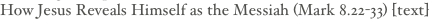 shapeimage_2_link_46